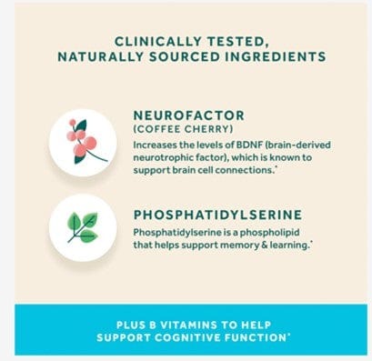 Neuriva Plus with Coffee Cherry and Phosphatidylserine.